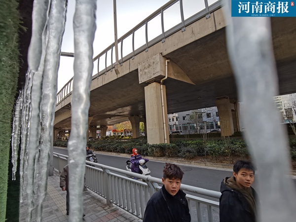 “冰”临城下！郑州街边围墙悬挂冰凌，足足有半米长-3.jpg